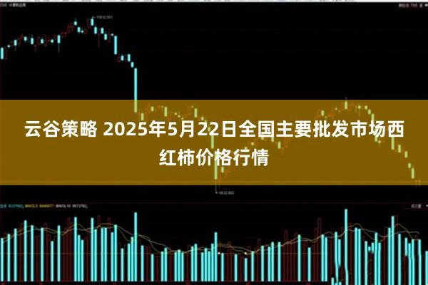 云谷策略 2025年5月22日全国主要批发市场西红柿价格行情
