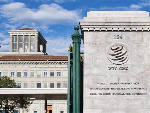 景逸策略 中方将不寻求新特殊待遇意味着啥 支持多边贸易体制